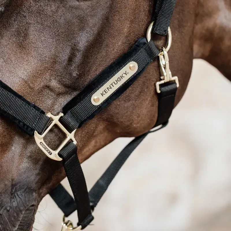 Kentucky Velvet Headcollar - Black-2