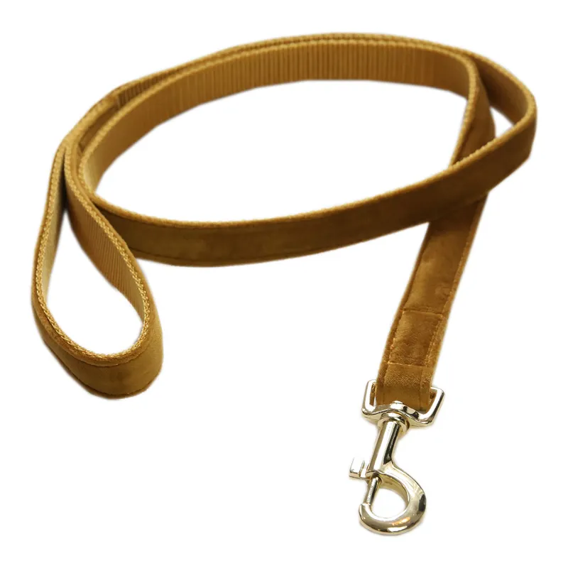 Kentucky Velvet Dog Lead - Mustard-3