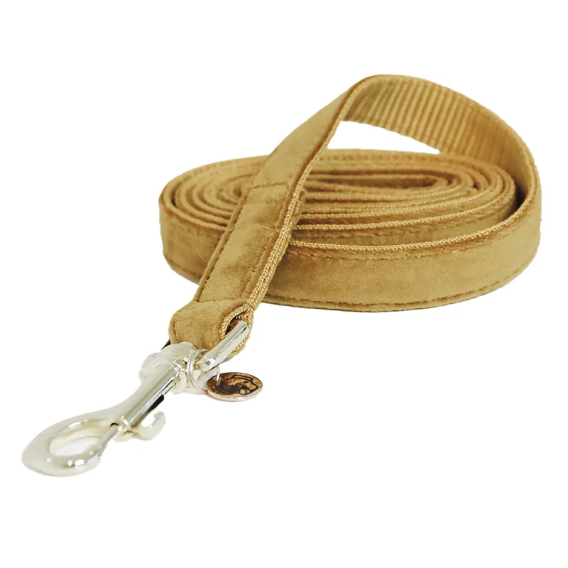Kentucky Velvet Dog Lead - Mustard-1