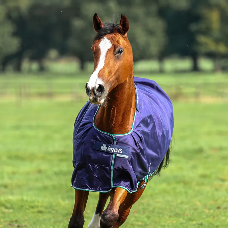 Bucas Smartex 0g Rain Standard Neck Turnout Rug - Blue-3