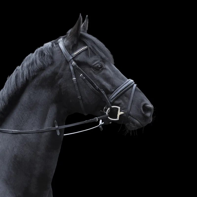 Sprenger Dynamic RS WH ULTRA Double Jointed Eggbutt Snaffle Bit-1