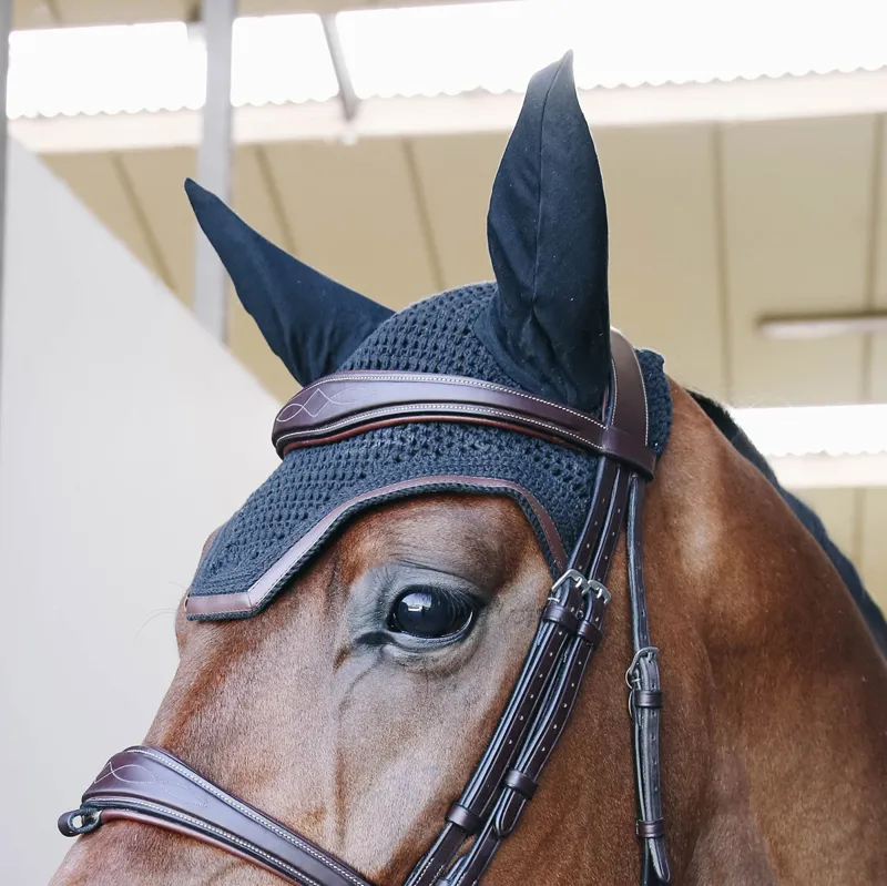 Kentucky Wellington Leather Trim Fly Veil - Black-1