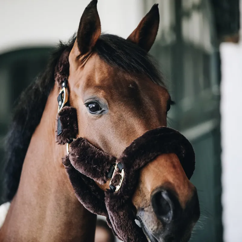 Kentucky Shipping Synthetic Sheepskin Headcollar - Brown-1