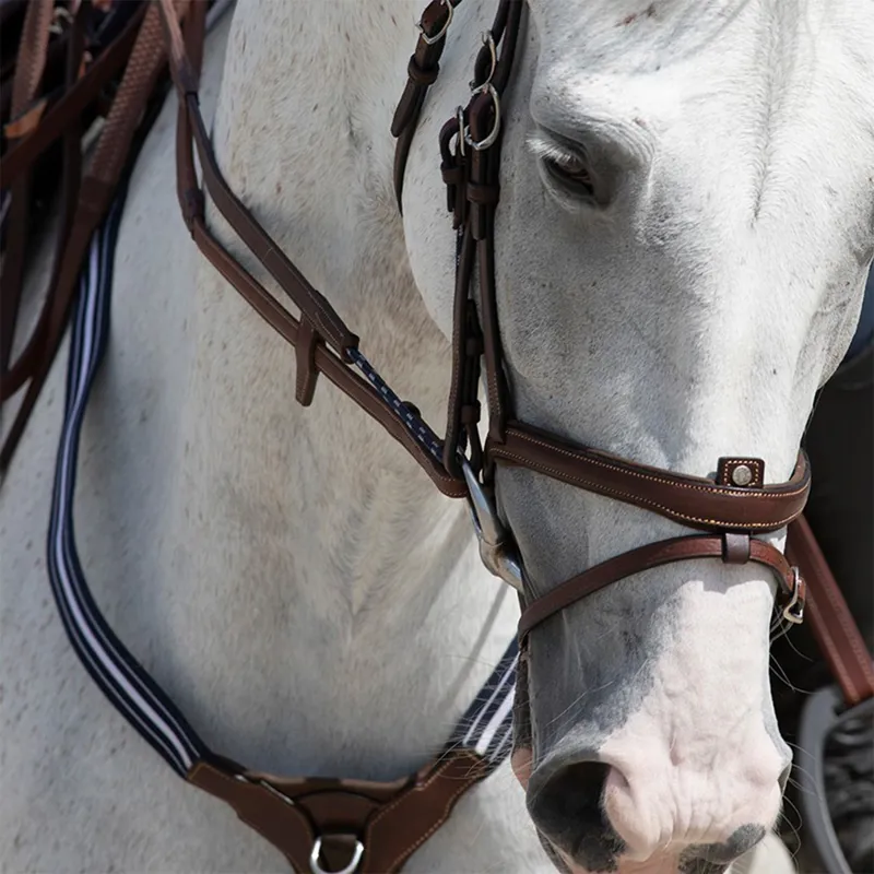 Antares Precision Gag Reins - Brown-1