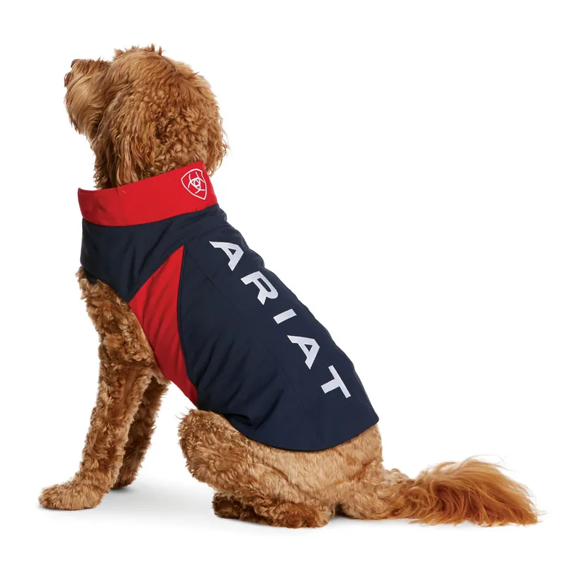 Ariat Team Softshell Dog Coat - Navy