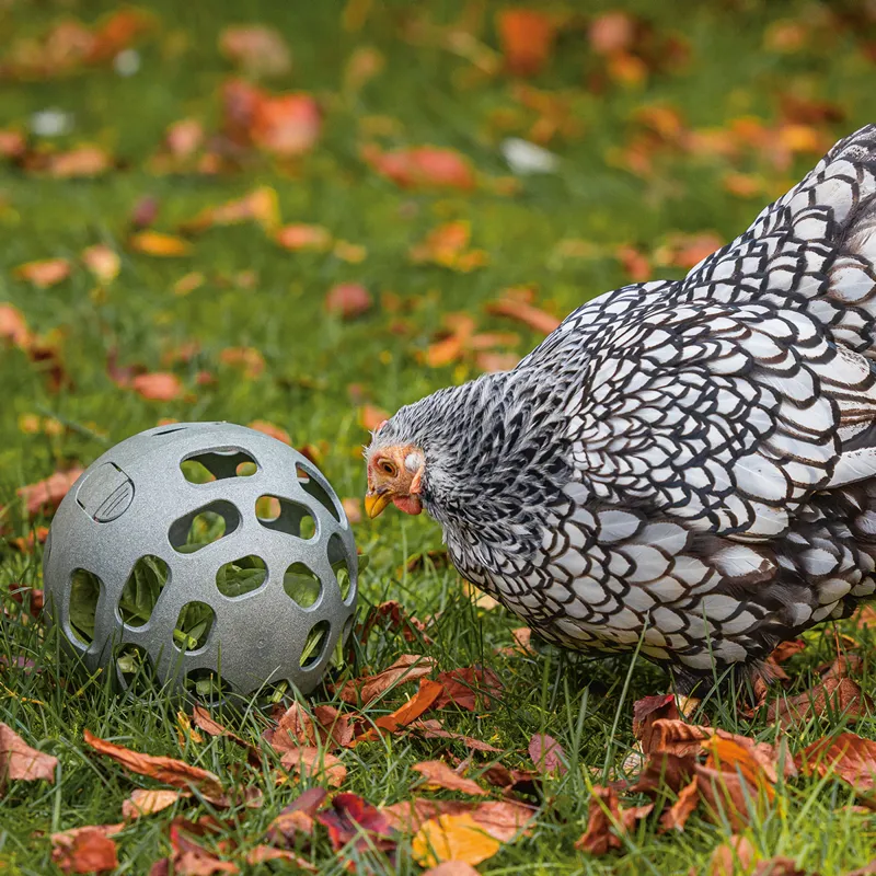 beeztees Chicken Snack Ball-4