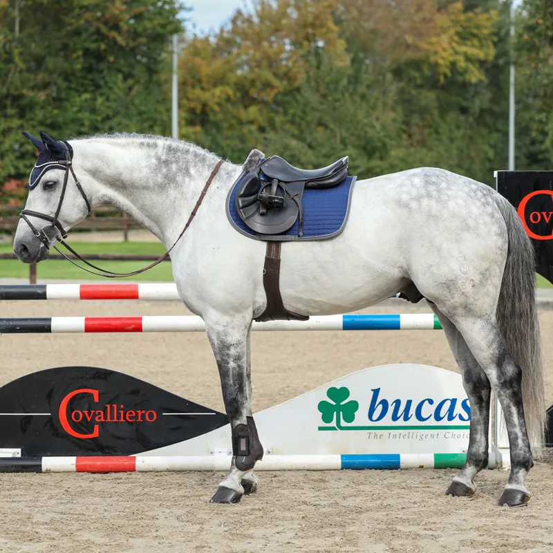 Bucas Show-Line Jump Saddlecloth - Navy/Grey-2