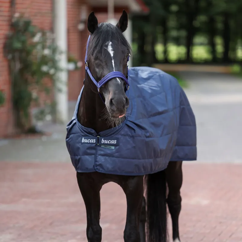 Bucas 200g Rug Liner - Navy-1