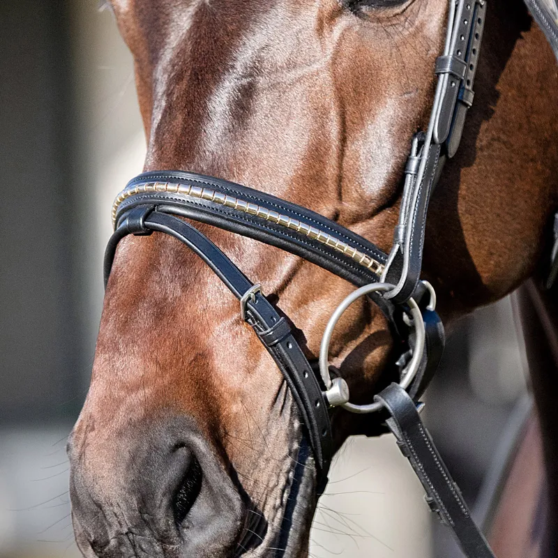 Equiline NB0455 Crank Clincher Noseband - Black/Gold-2