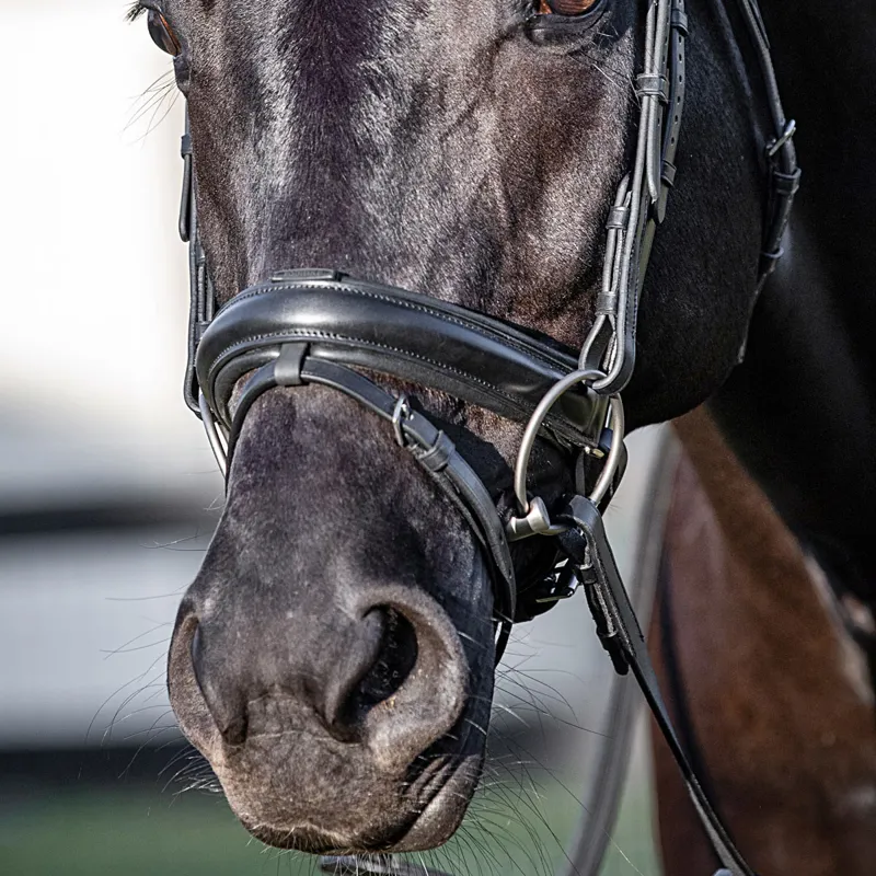 Equiline NB0451 Crank Noseband with Removable Flash - Black-2
