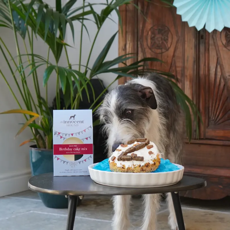 The Innocent Hound Dog Birthday Cake Mix - British Duck-3