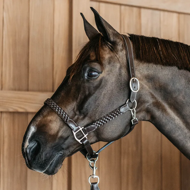 Dy'on Working Plaited Leather Headcollar - Brown