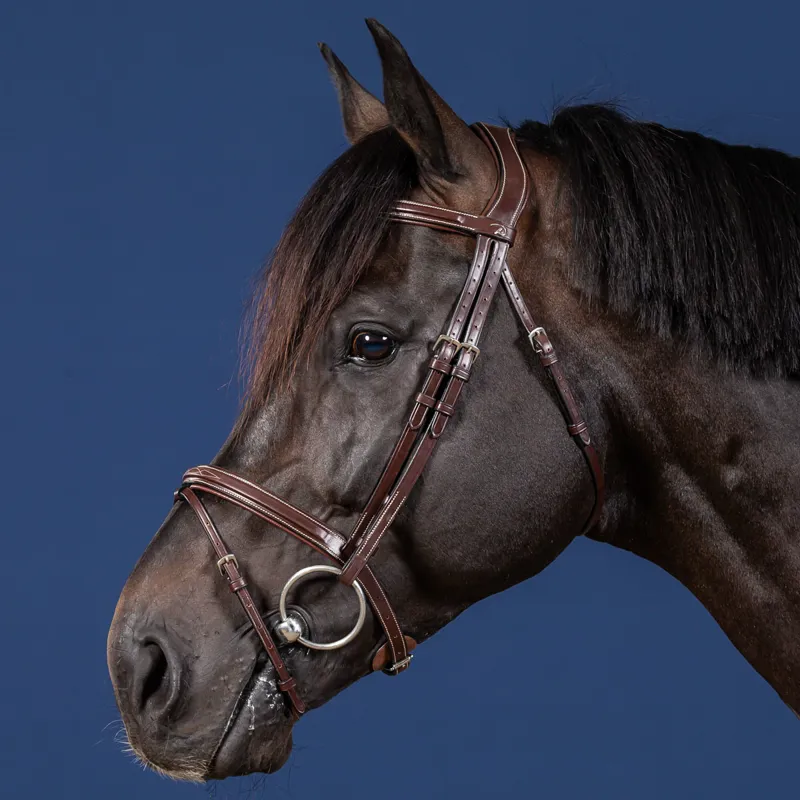 Dy'on US Collection Flash Bridle - Brown-1