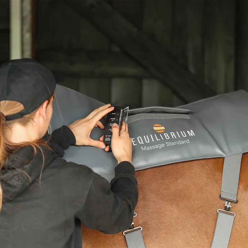 Equilibrium Massage Back Pad - Standard-2