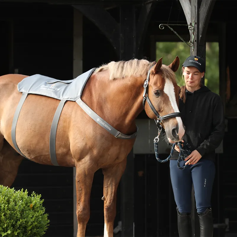 Equilibrium Massage Back Pad - Standard-5