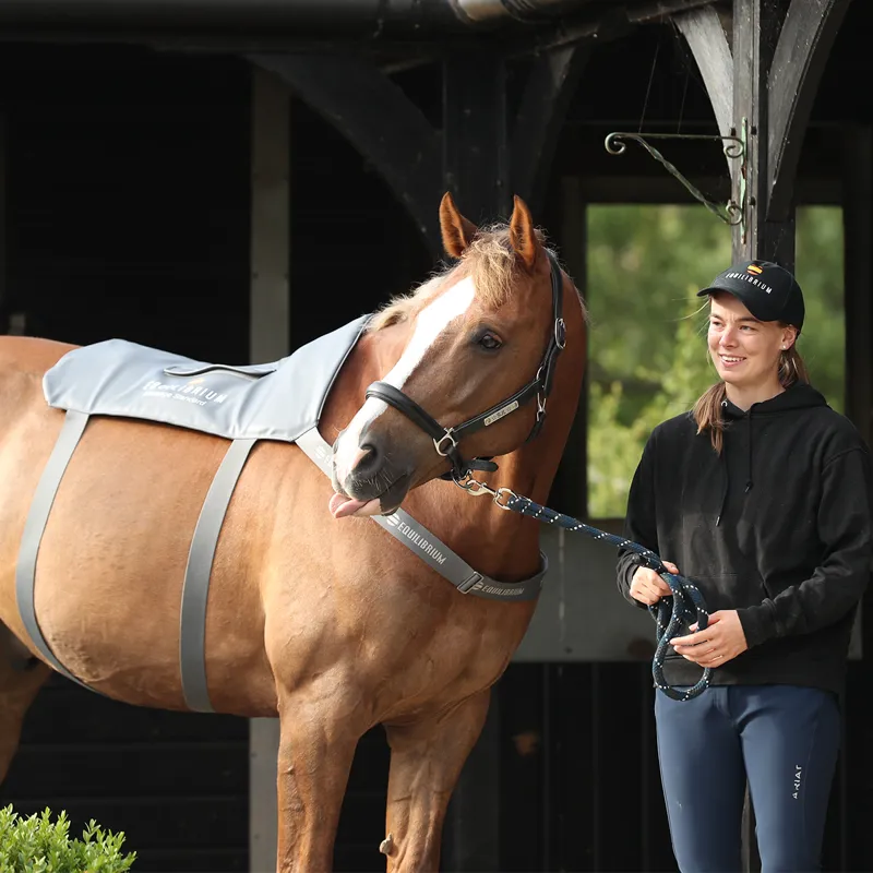 Equilibrium Massage Back Pad - Standard-4