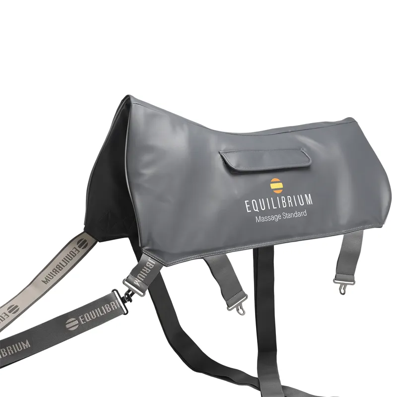 Equilibrium Massage Back Pad - Standard-1