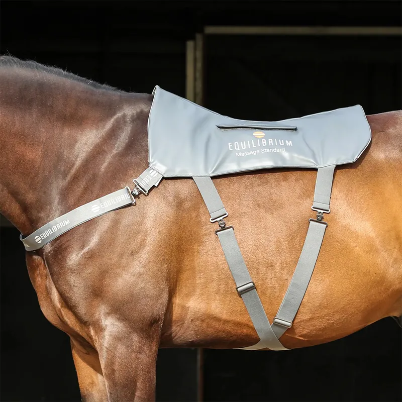 Equilibrium Massage Back Pad - Standard - TRIAL