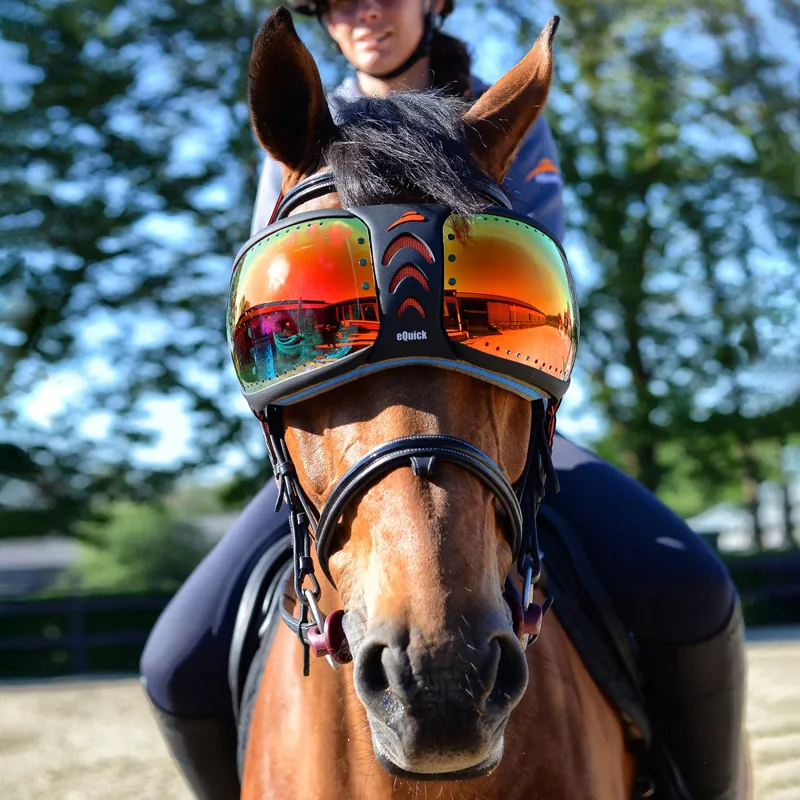 eQuick eVysor Eye Protector Horse Goggles - Mirrored Rainbow