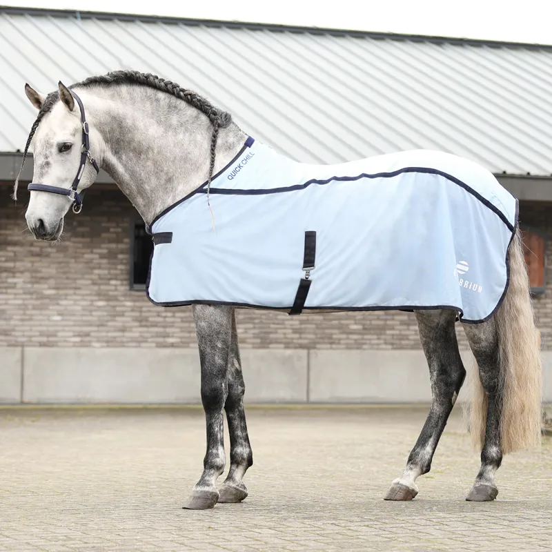 Equilibrium Quick Chill V1 Cooling Rug - Light Blue