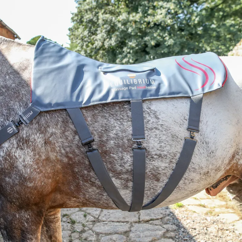 Equilibrium Heatsense Massage Back Pad - Standard-2