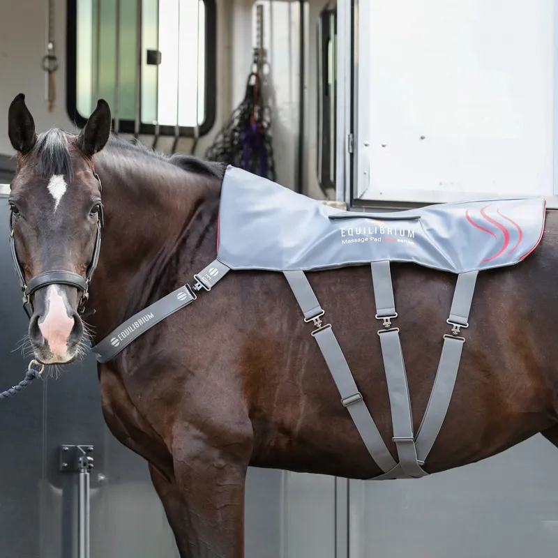 Equilibrium Heatsense Massage Back Pad - Standard