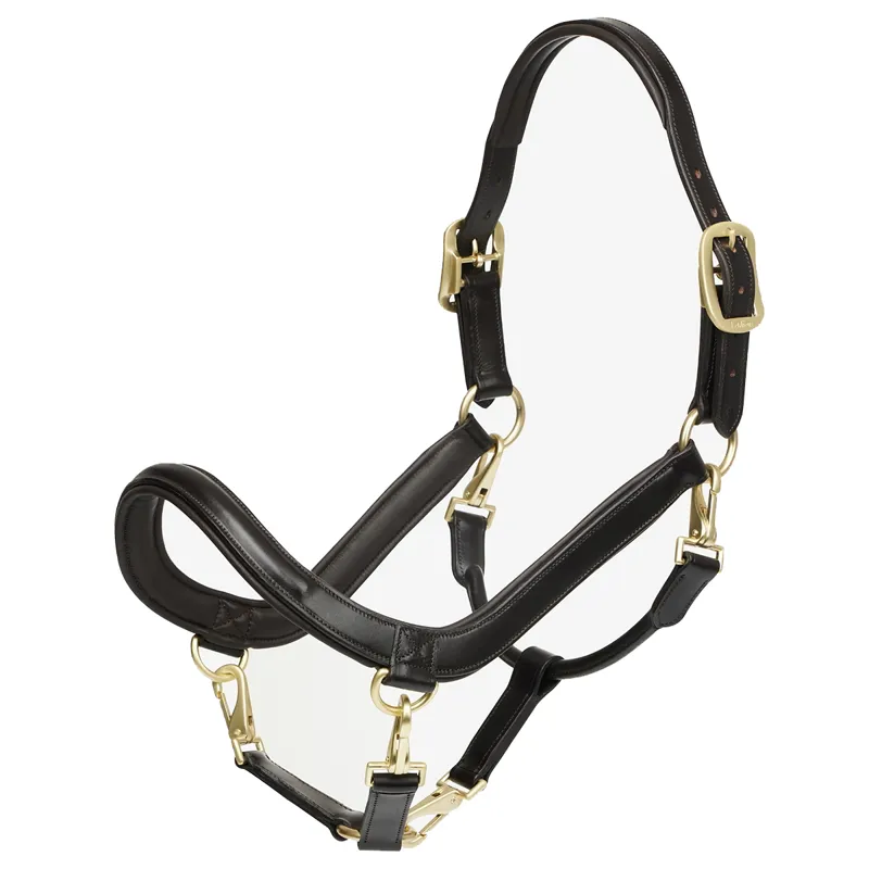 LeMieux Leather Grooming Headcollar - Brown