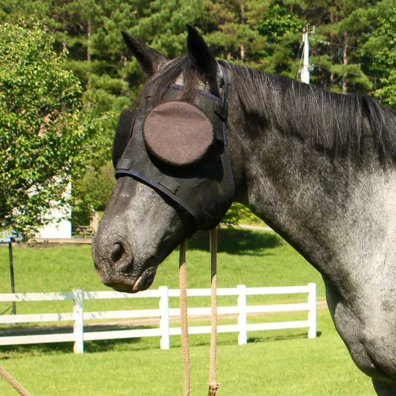 Guardian Horse Replacement Sunshades - 95%-3