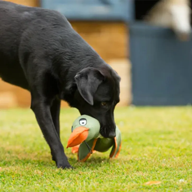 HOP Duck! Canvas Thrower Dog Toy - Khaki-1