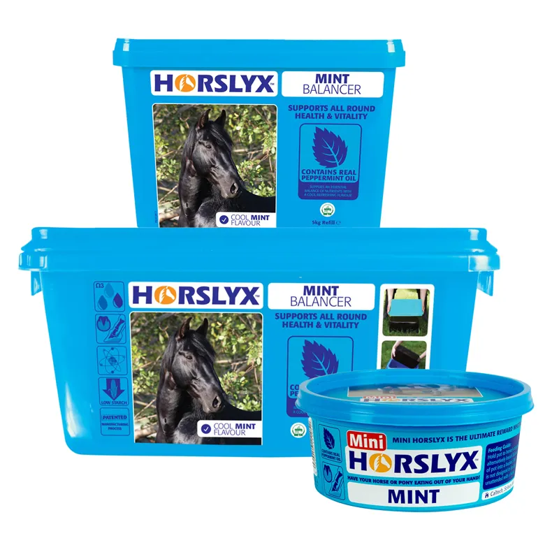 Horslyx Mint Balancer Lick
