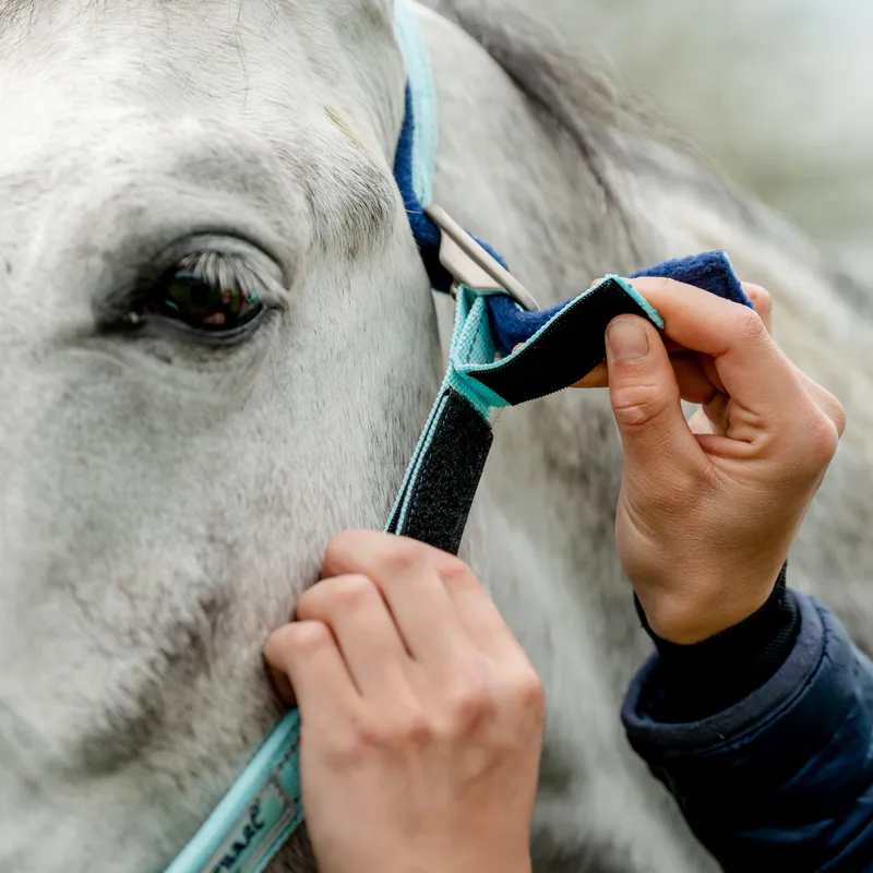 Horseware Field Safe Headcollar - Blue Haze-3