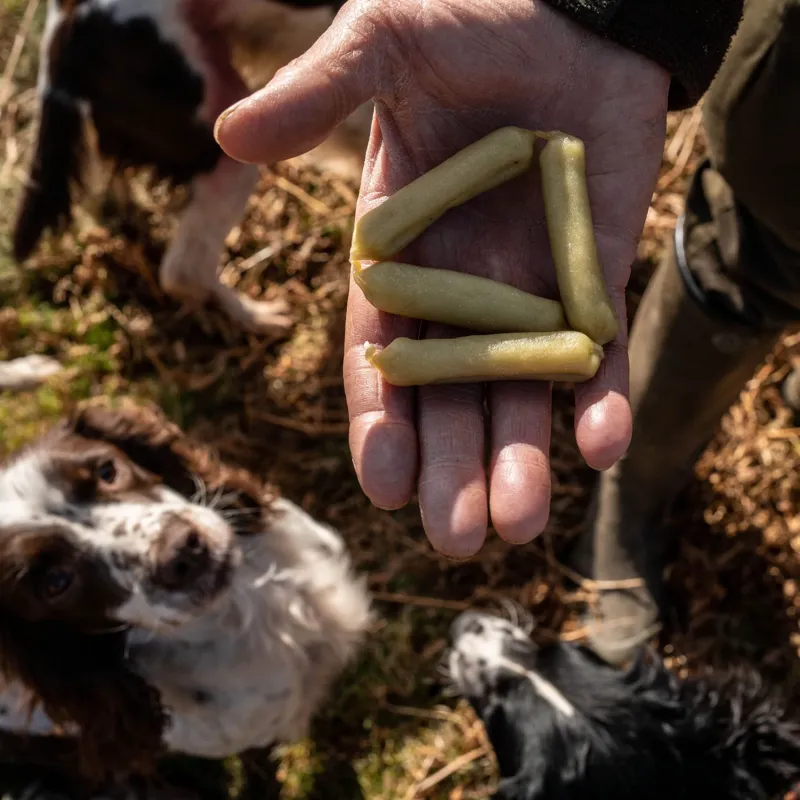 The Innocent Hound Skin and Coat Support Dog Treats - Aloe Vera/Spirulina -2