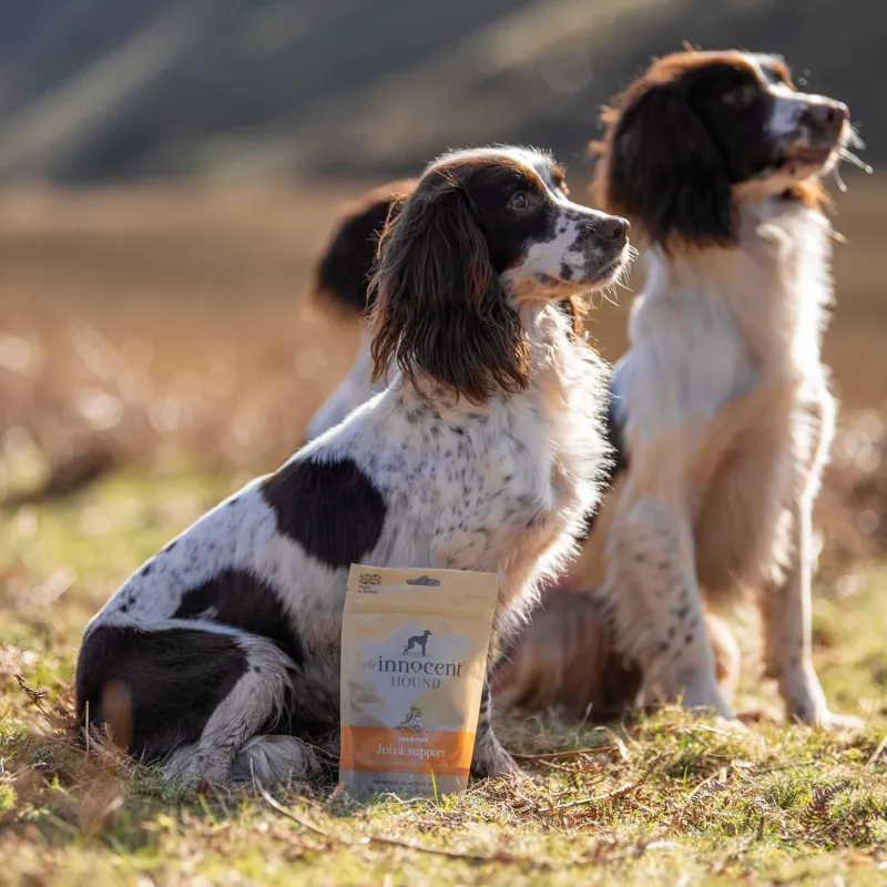 The Innocent Hound Joint Support Dog Treats - Turmeric/Pepper-2