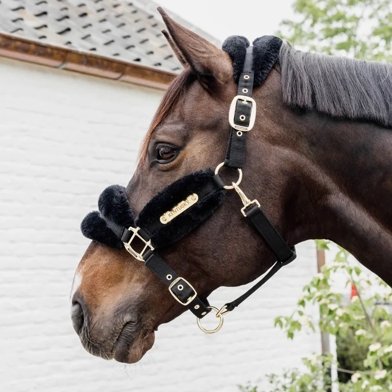 Kentucky Soft Nylon Sheepskin Headcollar - Black