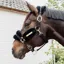 Kentucky Soft Nylon Sheepskin Headcollar - Black