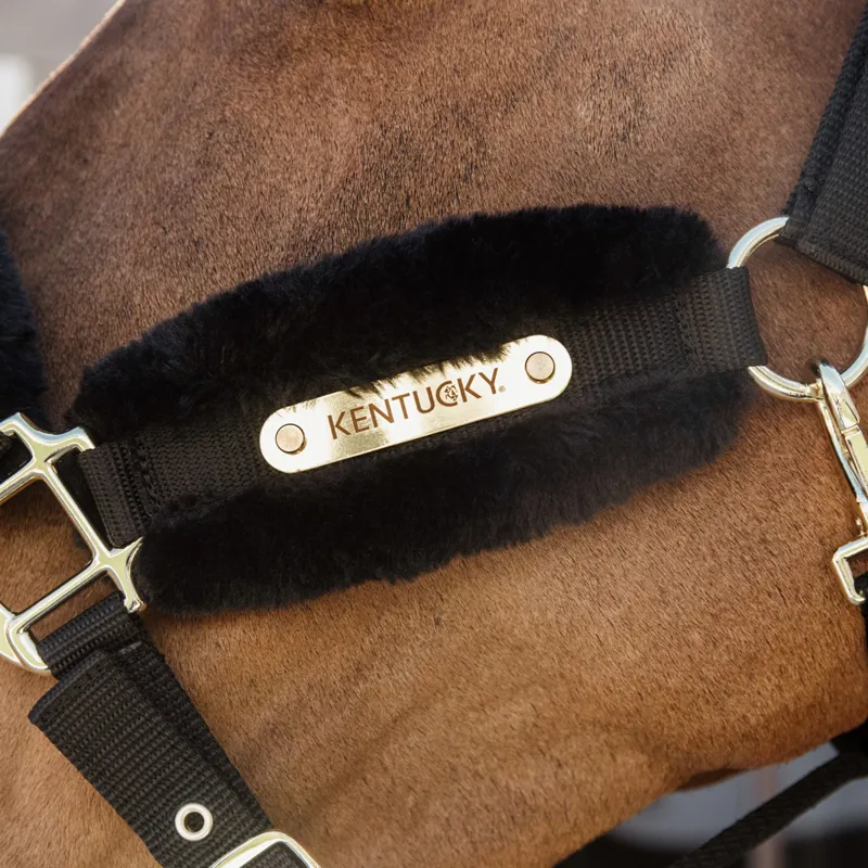 Kentucky Soft Nylon Sheepskin Headcollar - Black-3