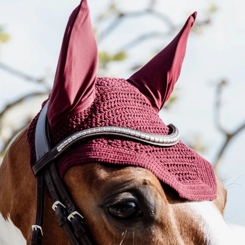 Kentucky Wellington Fly Veil - Bordeaux-1