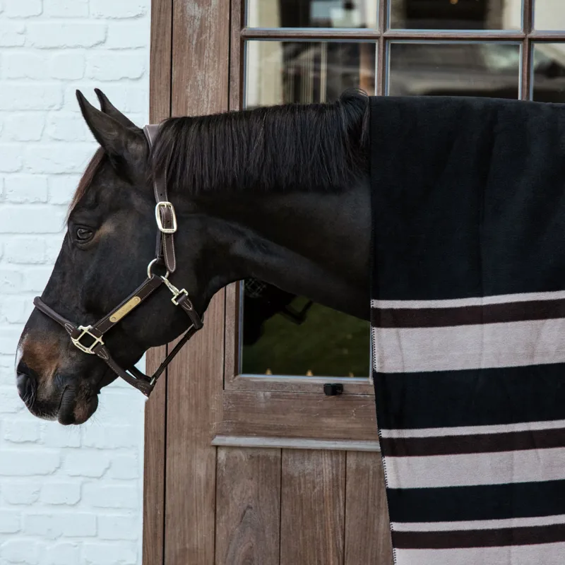 Kentucky Square Heavy Fleece Striped Rug - Brown/Beige-1