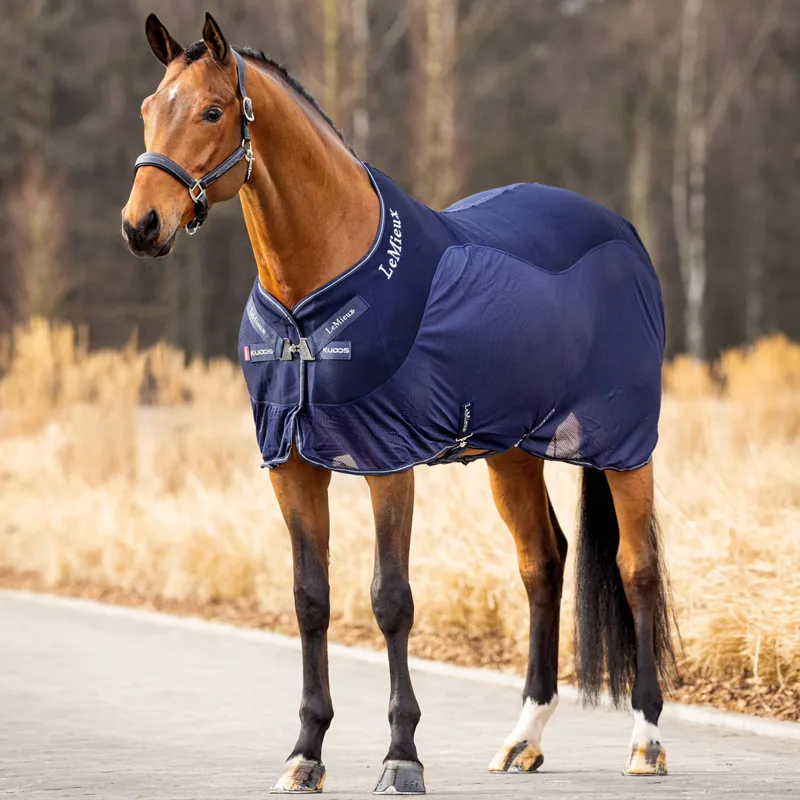 LeMieux Kudos Sports Cooler Standard Neck Mesh Rug - Navy