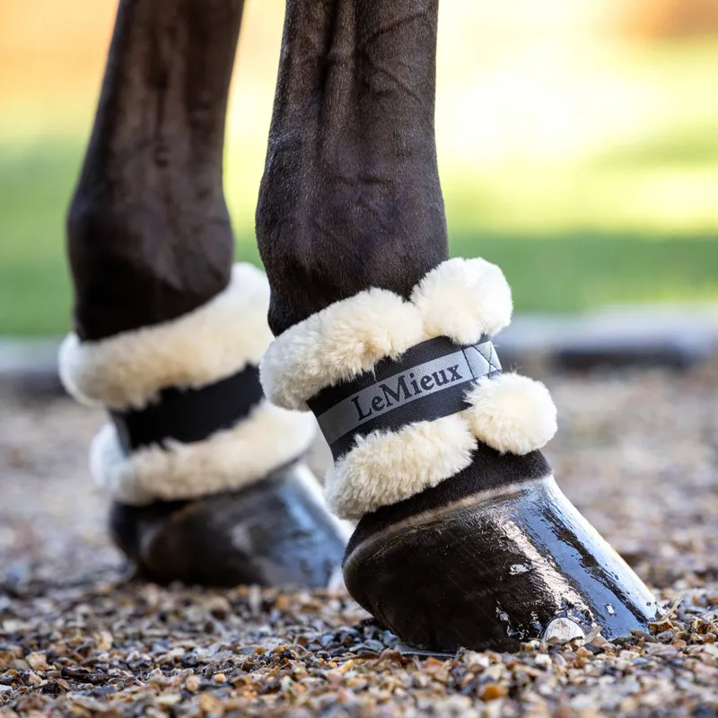 LeMieux Fleece Pastern Wraps - Black