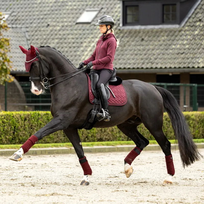 LeMieux Crystal Fly Hood - Burgundy-3