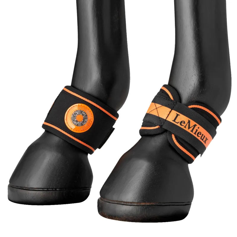 LeMieux Magno Pastern Wraps - Black