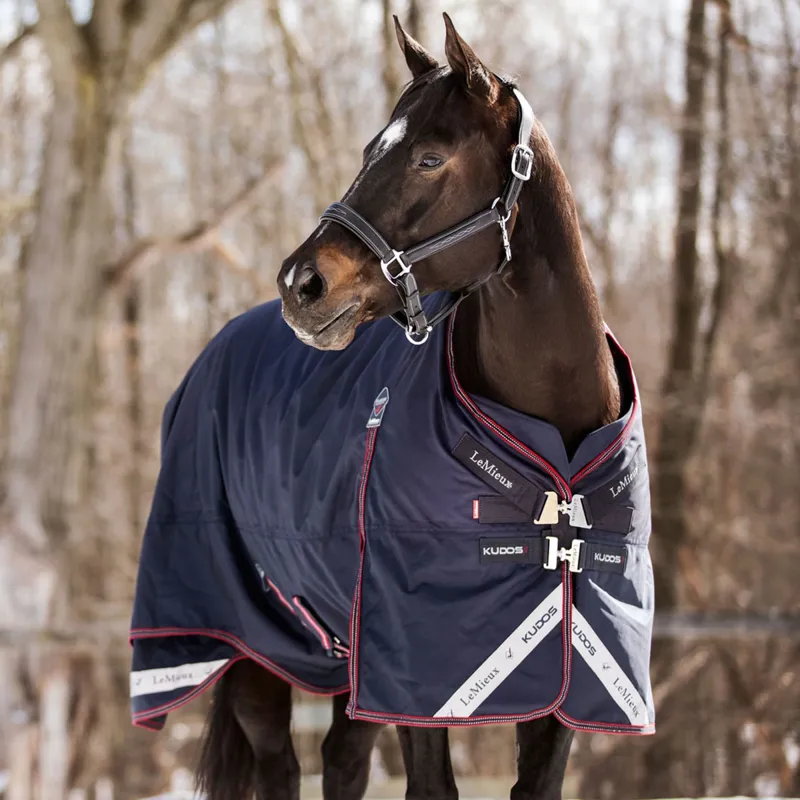 LeMieux Kudos 350g Detachable Neck Turnout Rug - Navy-1