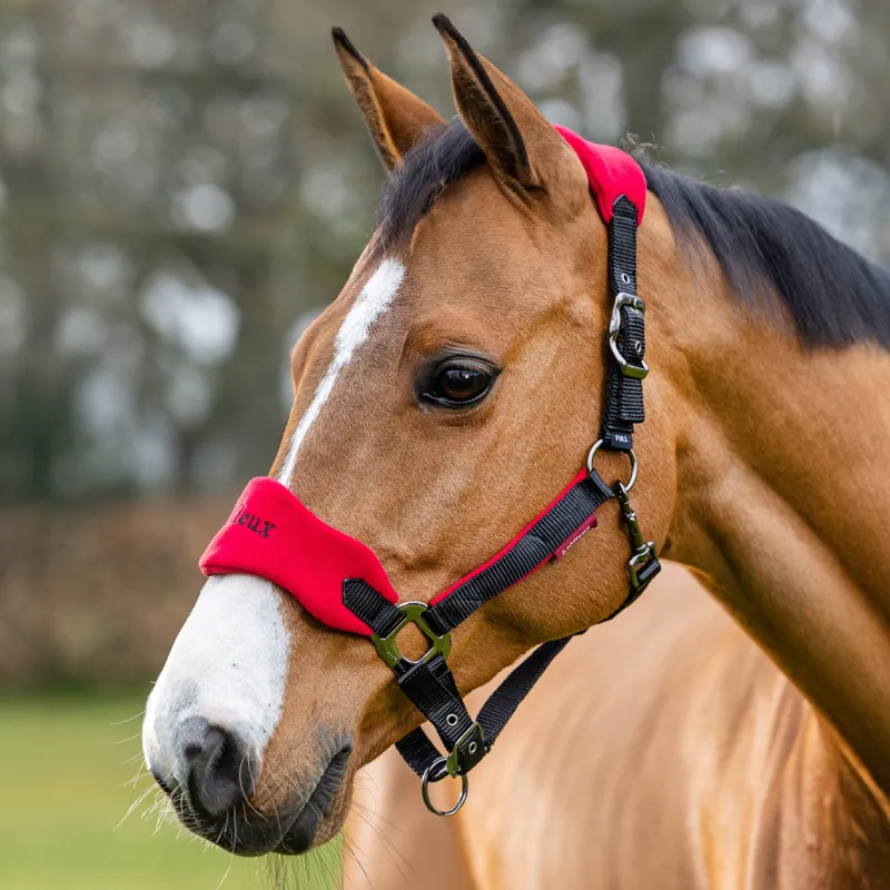 LeMieux Vogue Headcollar and Lead Rope Set - Chilli/Black-1