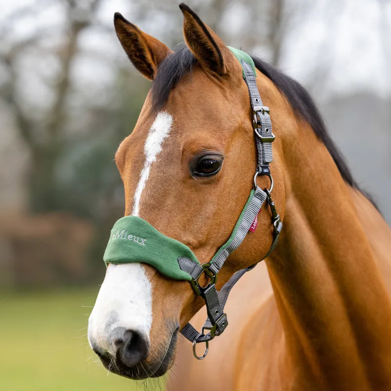 LeMieux Vogue Headcollar and Lead Rope Set - Hunter Green/Grey-1