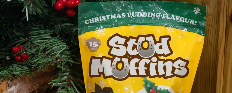 Gifts for your Horse