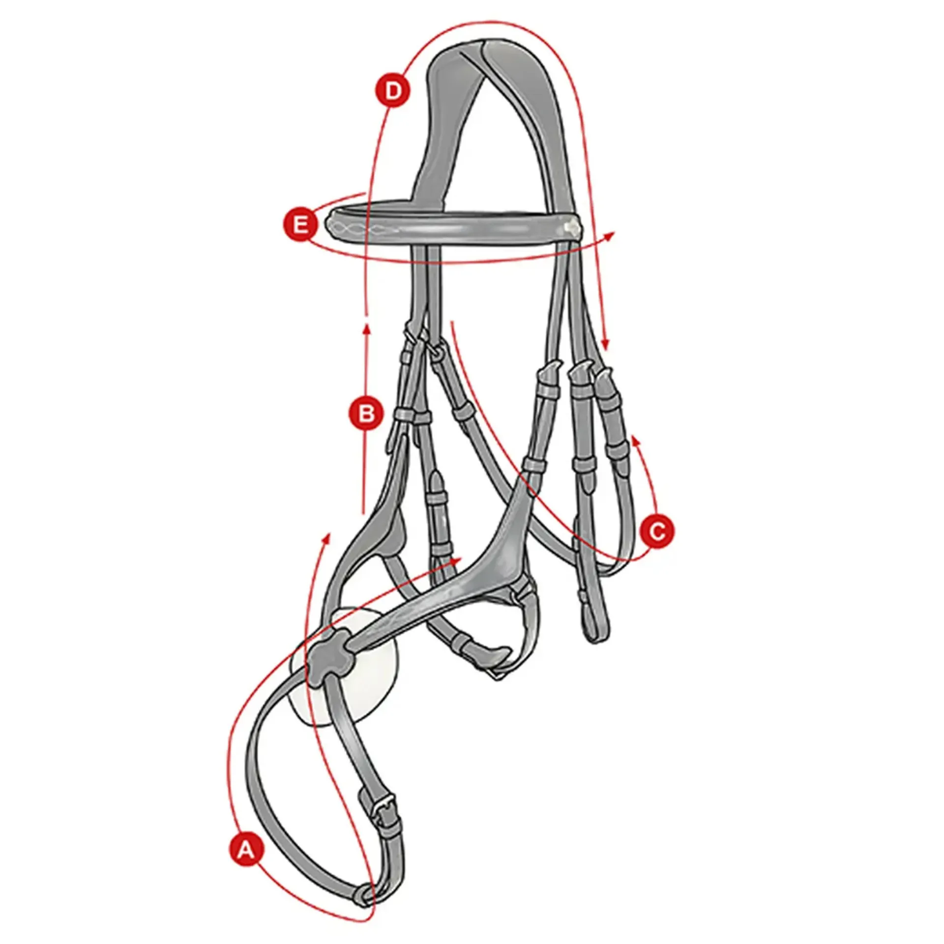 Lemeiux grackle bridle size guide