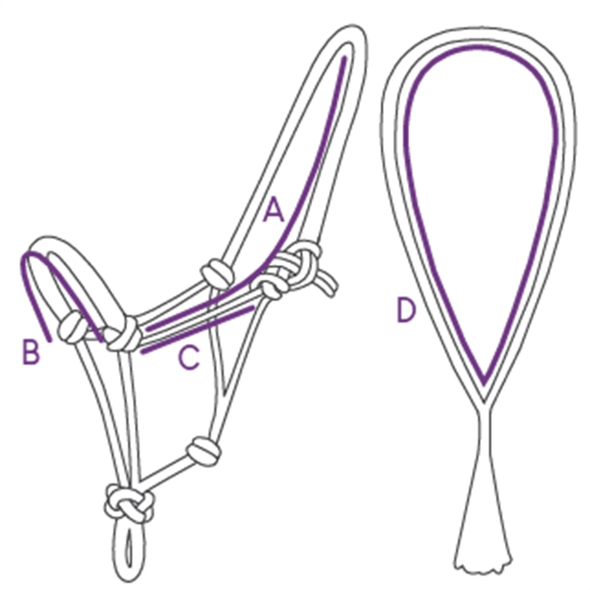 QHP Liberty Combi Headcollar and Neck Rope size guide diagram
