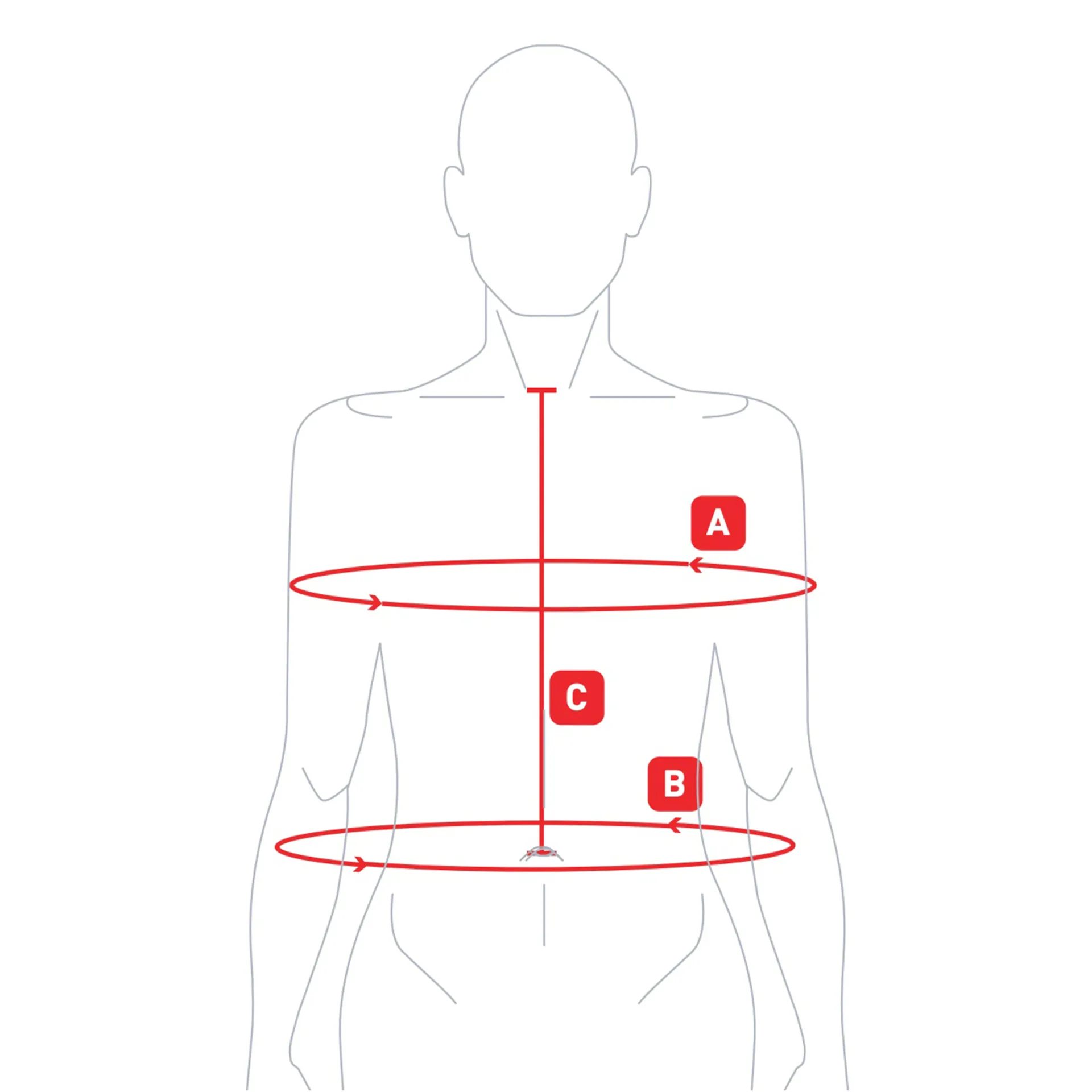 Veredus Back Protector Sizing Guide
