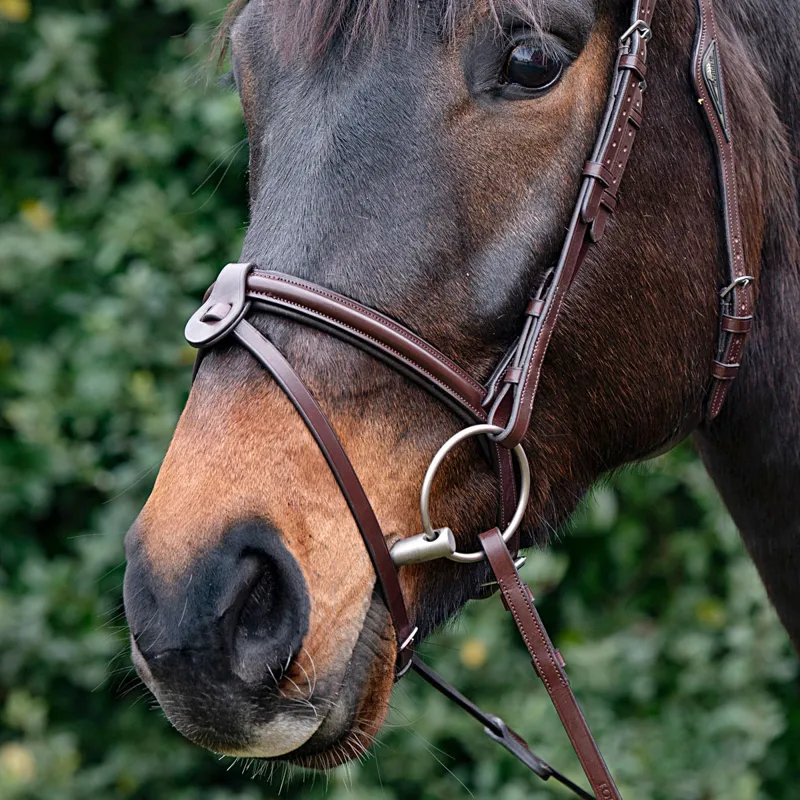 Equiline NB0446 Padded Noseband with Removable Flash - Brown-2